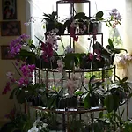 Les Orchidees - D'hotes B&B 3*